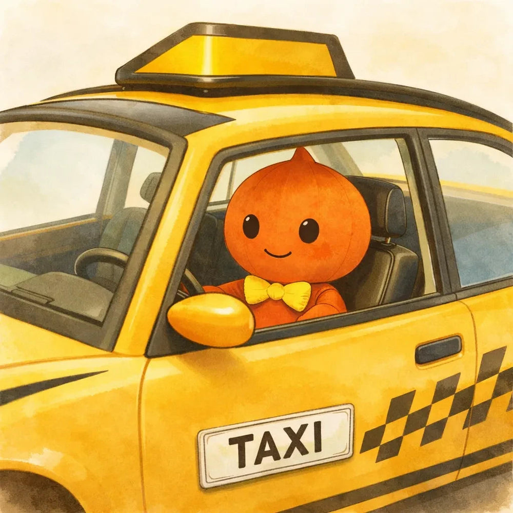 Take a taxi home
